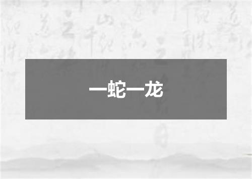 一蛇一龙