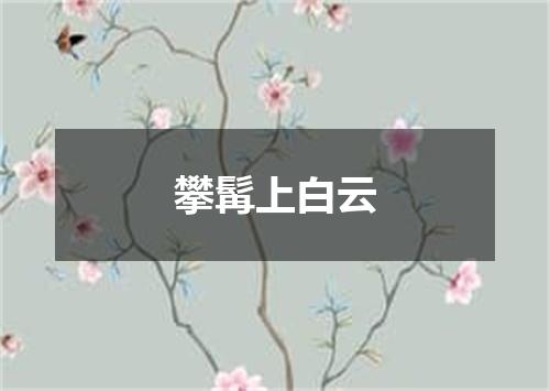 攀髯上白云