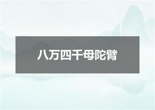 八万四千母陀臂