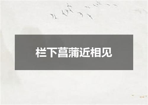 栏下菖蒲近相见