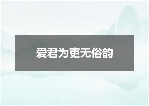 爱君为吏无俗韵