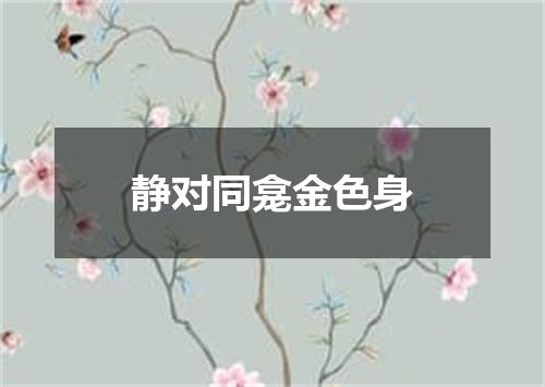 静对同龛金色身