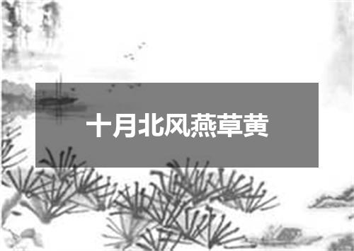 十月北风燕草黄