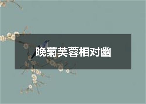 晚菊芙蓉相对幽