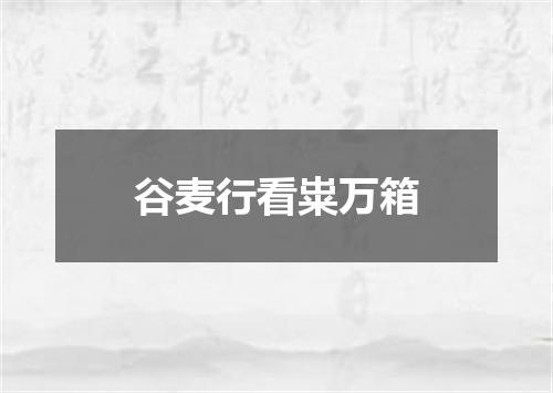谷麦行看粜万箱