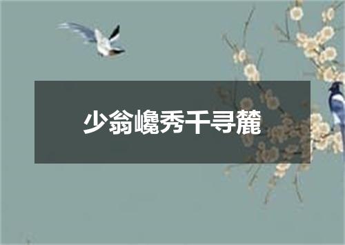 少翁巉秀千寻麓