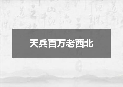 天兵百万老西北