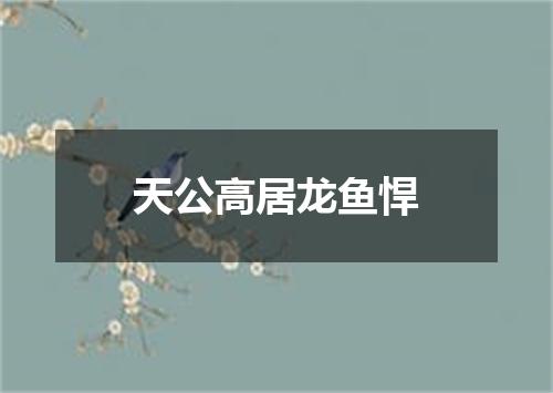 天公高居龙鱼悍