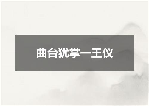 曲台犹掌一王仪