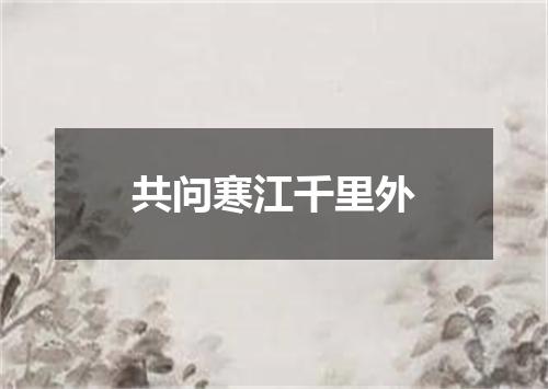 共问寒江千里外