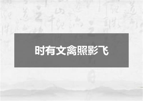 时有文禽照影飞