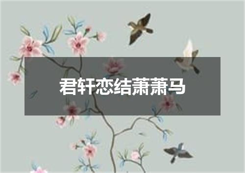 君轩恋结萧萧马