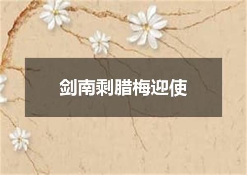 剑南剩腊梅迎使