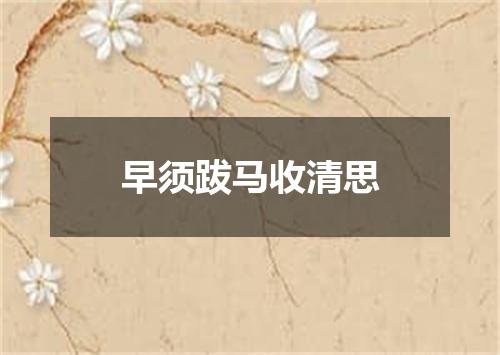 早须跋马收清思