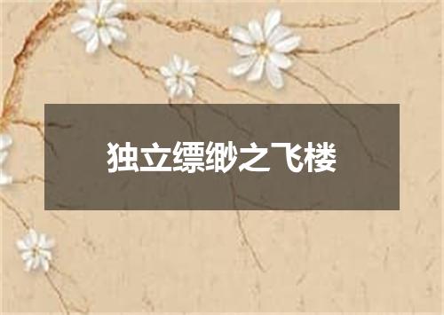 独立缥缈之飞楼