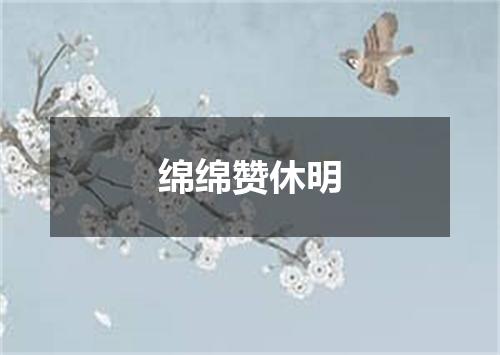 绵绵赞休明