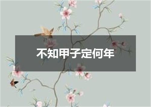 不知甲子定何年