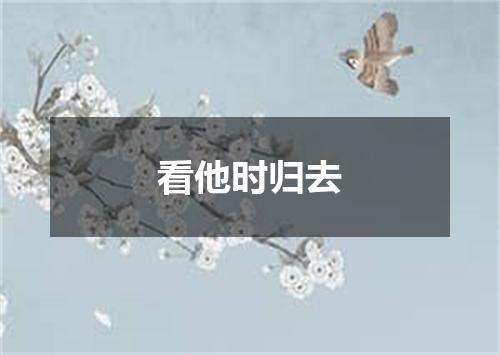 看他时归去
