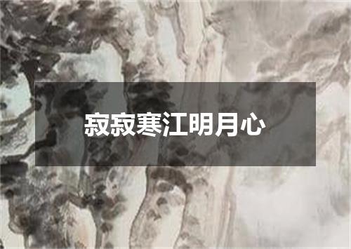 寂寂寒江明月心