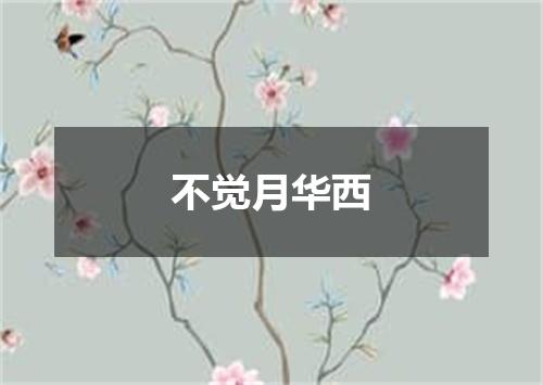 不觉月华西