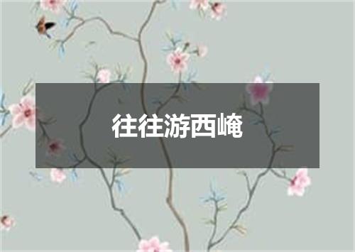 往往游西崦