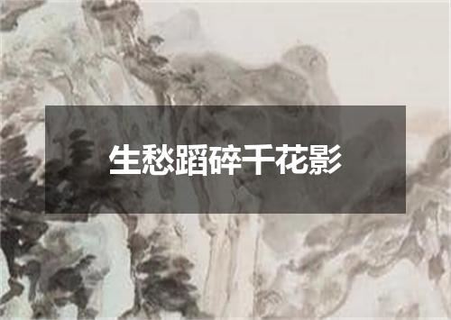 生愁蹈碎千花影