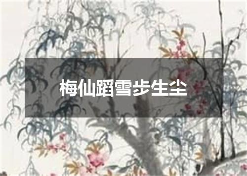 梅仙蹈雪步生尘