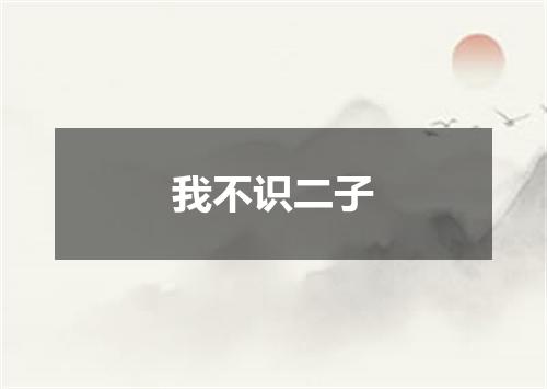 我不识二子