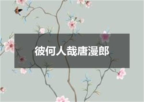 彼何人哉唐漫郎