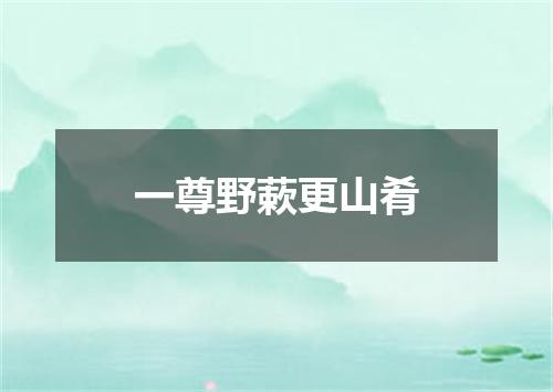 一尊野蔌更山肴