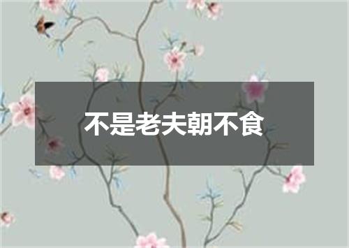 不是老夫朝不食