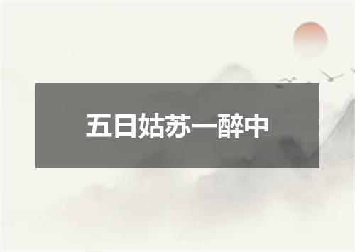 五日姑苏一醉中