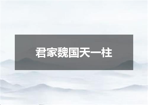君家魏国天一柱