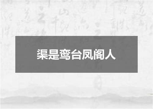 渠是鸾台凤阁人