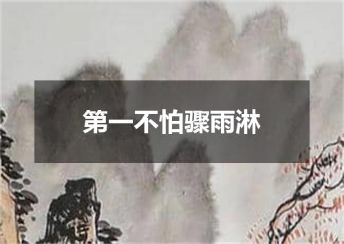 第一不怕骤雨淋