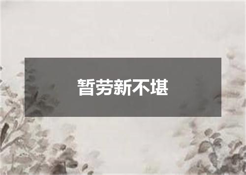 暂劳新不堪