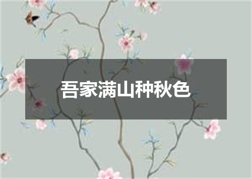 吾家满山种秋色