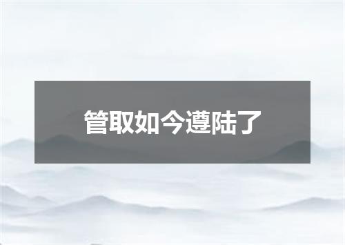 管取如今遵陆了