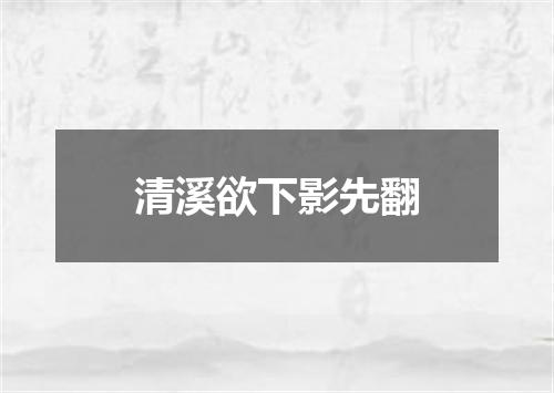 清溪欲下影先翻