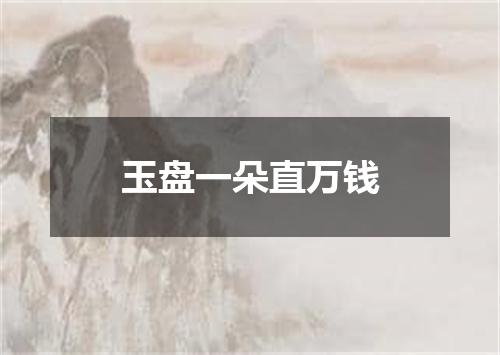 玉盘一朵直万钱