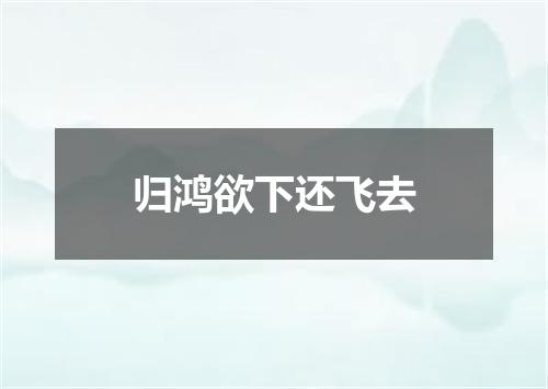 归鸿欲下还飞去