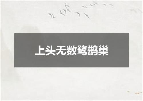 上头无数鹭鹚巢