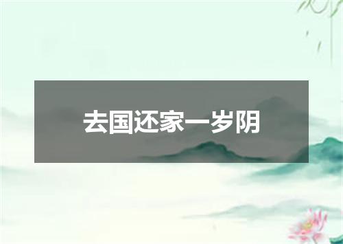 去国还家一岁阴