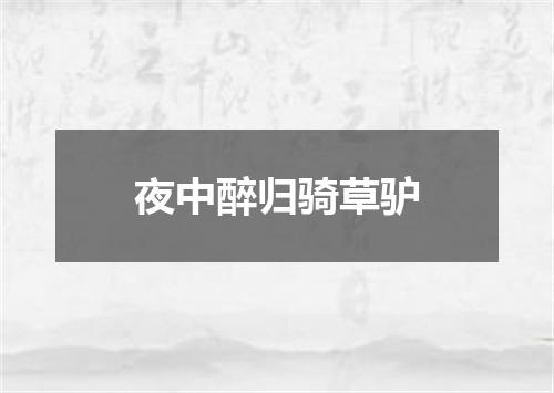 夜中醉归骑草驴