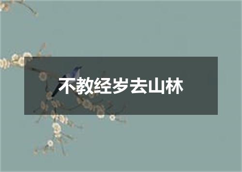 不教经岁去山林