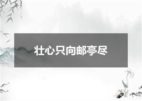 壮心只向邮亭尽