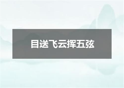 目送飞云挥五弦
