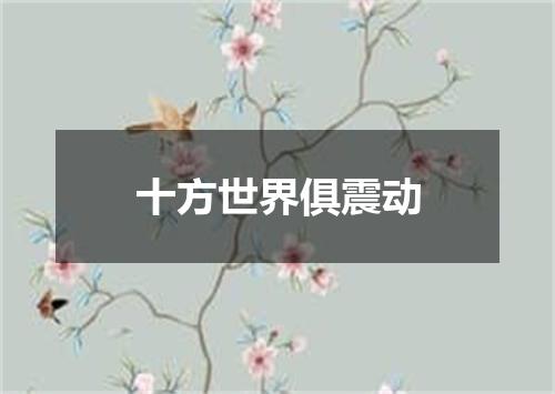 十方世界俱震动