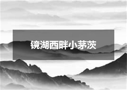 镜湖西畔小茅茨