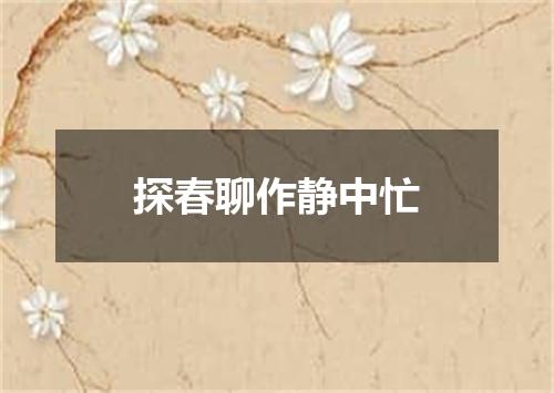 探春聊作静中忙